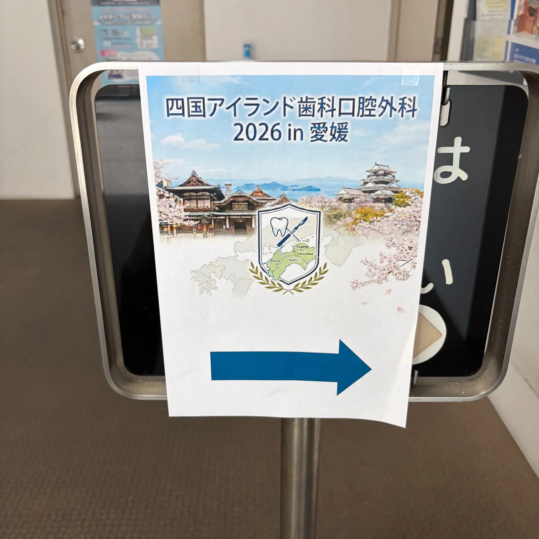 松山で素晴らしい週末 🌟